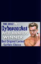 Cybersocket Award